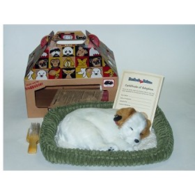 Plenty Gifts- Perfect Petzzz Soft Jack Russell, 96347, Universel, Taille Unique