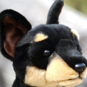 NURCIX Peluche 30Cm Simulation danimal Peluche Chien Doberman Mignon Peluche Chien Noir Peluche Cadeau danniversaire Vacanc