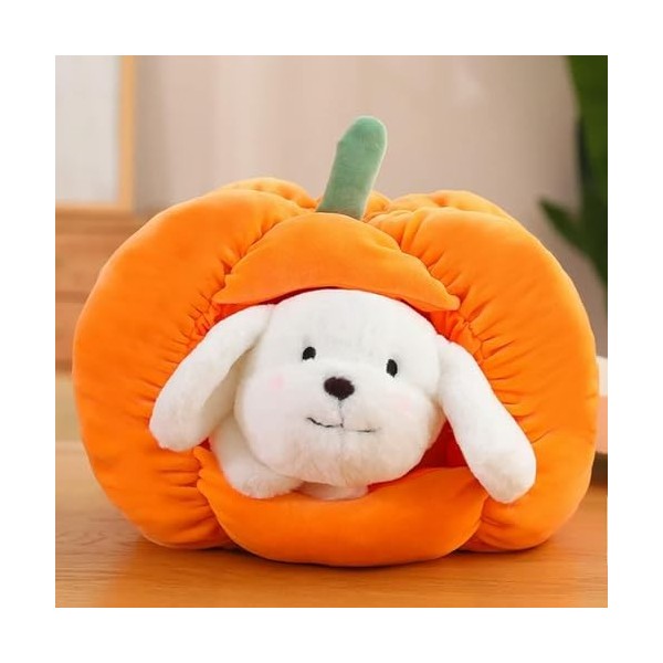 SaruEL Kawaii Peluche Citrouille nid en Peluche Chat Chien Jouet Animal Citrouille Oreiller Peluche Jouets créatifs pour Les 