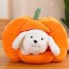 SaruEL Kawaii Peluche Citrouille nid en Peluche Chat Chien Jouet Animal Citrouille Oreiller Peluche Jouets créatifs pour Les 
