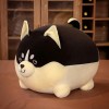 Nouveau Mignon Shiba Inu Chien Peluche Jouet en Peluche Animal Corgi Oreiller Enfants Kawaii Saint Valentin Cadeau Cadeau De 