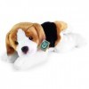 RAPPA Peluche Chien Beagle couché 30 cm ECO-Friendly