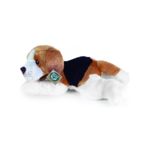 RAPPA Peluche Chien Beagle couché 30 cm ECO-Friendly