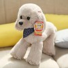 KiLoom Simulation Peluche Teddy Dog Dolls Peluche Doux Chiot Jouets Beau Caniche Coussin pour Filles Bébé Cadeau 40cm 1