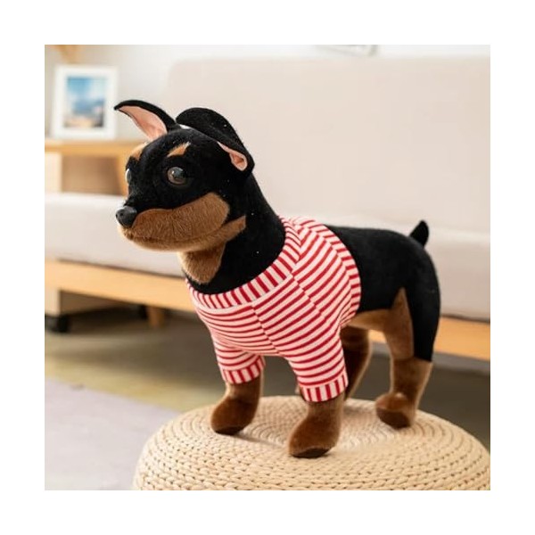 LfrAnk Chien en Peluche Jouets Mignon Chihuahua Pit Bull poupées en Peluche décoration Cadeaux d’Anniversaire pour Les Enfant