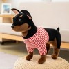 LfrAnk Chien en Peluche Jouets Mignon Chihuahua Pit Bull poupées en Peluche décoration Cadeaux d’Anniversaire pour Les Enfant