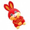 Toyvian 3 Pièces Jouet Lapin pour Enfants Jouets en Peluche Lapin en Peluche Jouet Lapin du Nouvel an Chinois Poupées De Masc