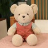 Kawaii Ours en Peluche Mignon Ours en Peluche Saint Valentin Peluche Jouet en Peluche Poupée Enfants Cadeau D’Anniversaire Dé