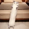 Chat Kawaii, Lapin, Dinosaure, Husky, Oreiller, Peluche, Peluche, poupée en Peluche, Oreiller de Sommeil Moelleux, Oreiller d