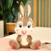 Sourire Grosse Dents Lapin Peluche Jouet Mignon Lapin en Peluche Dessin Animé Animal Poupée Home Decor Anniversaire Cadeau De