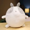 Kawaii Bunny Bear Peluche Jouet Mignon en Peluche Animal Oreiller Poupée Douce Mignonne Chambre Décoration Enfants Anniversai