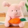 Mignon Lapin en Peluche Cochon Peluche Jouet Coussin Lapin Enfants Oreiller Poupée Cadeau D’Anniversaire pour Enfants Anniver