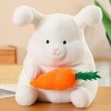 Mignon Lapin en Peluche Cochon Peluche Jouet Coussin Lapin Enfants Oreiller Poupée Cadeau D’Anniversaire pour Enfants Anniver