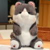 Kawaii Moelleux Chat Peluche Jouet Oreiller Peluche Animal Maison Confort Chaton poupée Enfants Cadeau d’Anniversaire pour Le