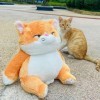 Mignon Chat Peluche Jouet Kawaii Chaton Peluche Animal poupée Rond Oreiller canapé Coussin Enfants Cadeaux 42cm 1