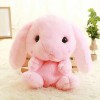 Mignon Sac À Dos en Peluche Kawaii Sac À Dos Lapin en Peluche Jouet Fille Anniversaire Sac en Peluche Cadeau De Noël 55CM 3