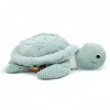 LES DÉGLINGOS PTIPOTOS by Peluche Sauvenou la Tortue géante 50 cm Menthe - Doudou Original - Range Pyjamas - Doudou idéal dès