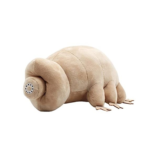 BBABBT Ours deau en Peluche Tardigrade, Jouet en Peluche de Simulation dours deau de mer de 25 cm, Jouets pour Enfants/Jou