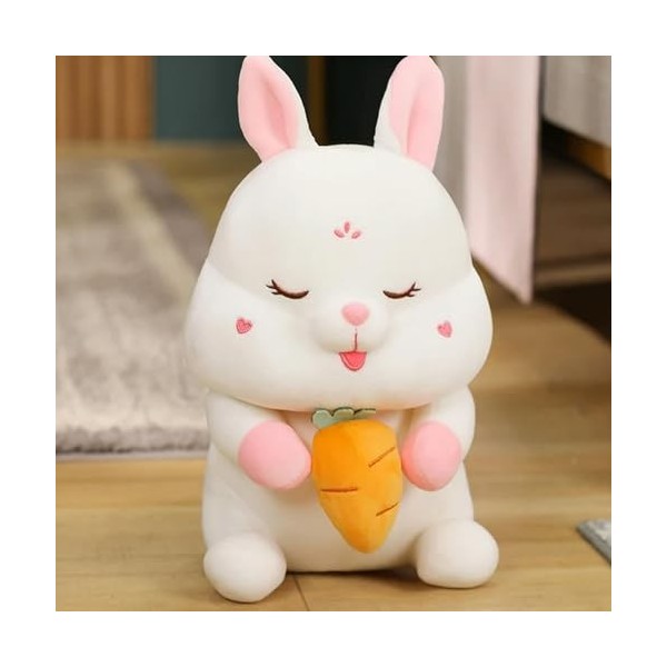 Mignon Ange Cochon Peluche Jouet en Peluche Animal Lapin Oreiller Enfant Poupée Kawaii Anniversaire Cadeau de Noël 50cm 1