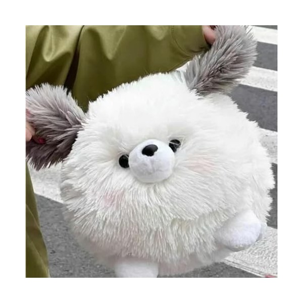 EacTEL Mignon Cochon en Peluche Chien Peluche Coussin Kawaii Chambre décor Jouets Enfants Cadeau d’Anniversaire Cadeau de Noë