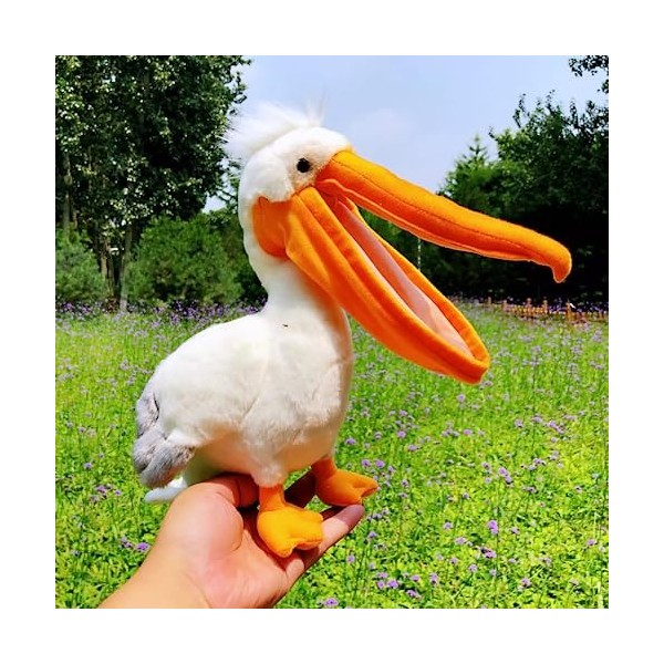 NURCIX Peluche Jouet en Peluche Toucan 30Cm Jouet en Peluche Oiseau Jouet en Peluche Animal Jouet en Peluche Animal Jouet en 