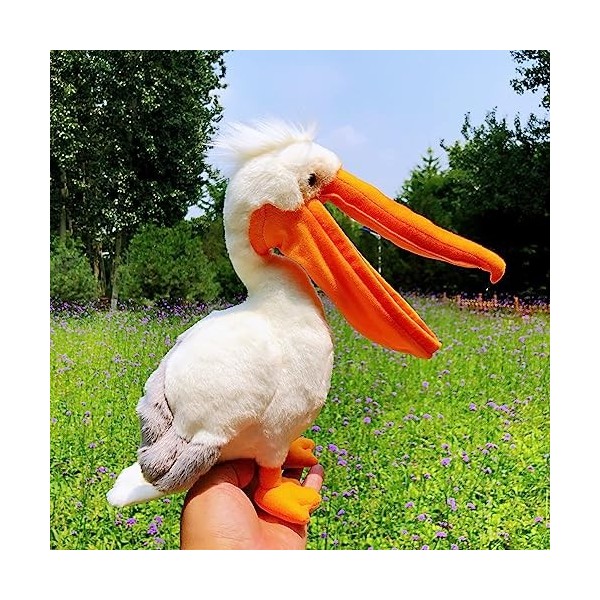 NURCIX Peluche Jouet en Peluche Toucan 30Cm Jouet en Peluche Oiseau Jouet en Peluche Animal Jouet en Peluche Animal Jouet en 