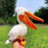 NURCIX Peluche Jouet en Peluche Toucan 30Cm Jouet en Peluche Oiseau Jouet en Peluche Animal Jouet en Peluche Animal Jouet en 