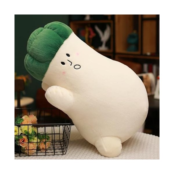 Jouets en Peluche végétale oreillers en Peluche Plante Carotte Champignons Chou Aubergine Jouets Mignon décoration de Chambre