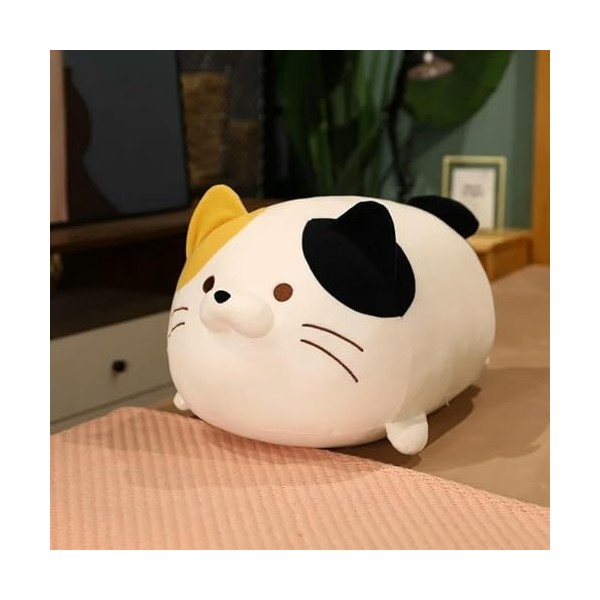 EacTEL Coussin en Peluche Chat Mignon Peluche Animal Cylindre Super Doux Chat potelé Chaton Kawaii Oreiller Anniversaire Cade