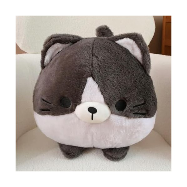 Kawaii Chat Peluche Jouet en Peluche Rond Animal Chat Oreiller Tapis de Sieste créatif Enfants Cadeau d’Anniversaire Cadeau d