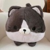 Kawaii Chat Peluche Jouet en Peluche Rond Animal Chat Oreiller Tapis de Sieste créatif Enfants Cadeau d’Anniversaire Cadeau d