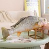 SaruEL Poisson Peluche Jouet en Peluche Animal Carpe Peluche Oreiller Créatif Tapis De Sommeil Enfants Fille Cadeaux De Noël 