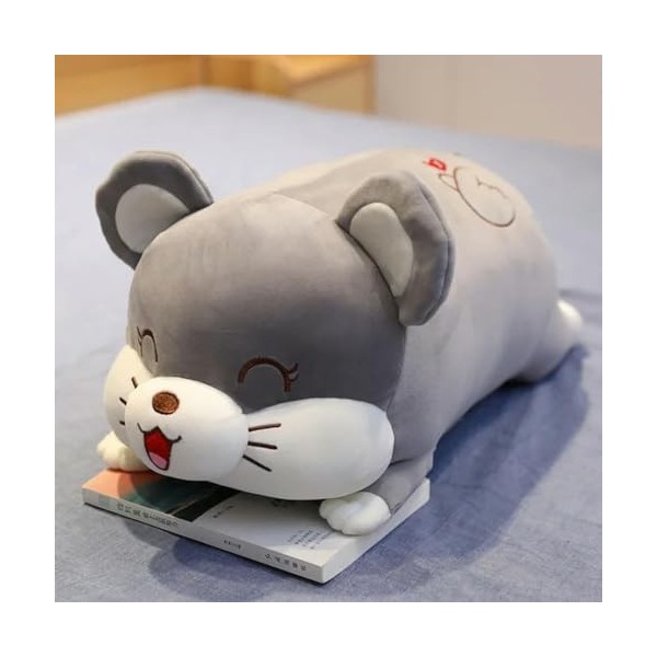 EacTEL Hamster Oreiller Peluche Jouet Cochon Souris Peluche Mignon Kawaii poupée Enfants Fille Cadeau canapé décoration 50cm 