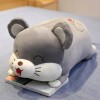 EacTEL Hamster Oreiller Peluche Jouet Cochon Souris Peluche Mignon Kawaii poupée Enfants Fille Cadeau canapé décoration 50cm 