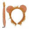 OCDSLYGB 2PCS Lion Hair Hoop Set Accessoires De Vêtements pour Animaux Décoration, Jeu De Rôle pour Enfants, Party Event Lion