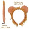 OCDSLYGB 2PCS Lion Hair Hoop Set Accessoires De Vêtements pour Animaux Décoration, Jeu De Rôle pour Enfants, Party Event Lion