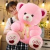 Haute Qualité Jouets Mignon Dessin Animé Ours en Peluche Jouets en Peluche Animal Ours Poupée Enfants Cadeau D’Anniversaire C