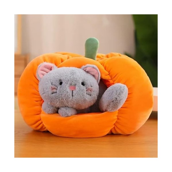 NOpinz Chats et Chiens dans des Jouets en Peluche Citrouille Kawaii oreillers en Peluche Plante Mignonne poupée en Peluche Ac