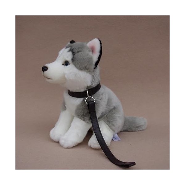 JOEBO Simulation Super Mignon Husky poupée Laisse Husky Peluche Jouet Mignon Chien poupée Doux Cadeau