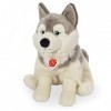 Hermann Teddy Collection - 927297 - Peluche - Chien Husky Séance - 29 cm