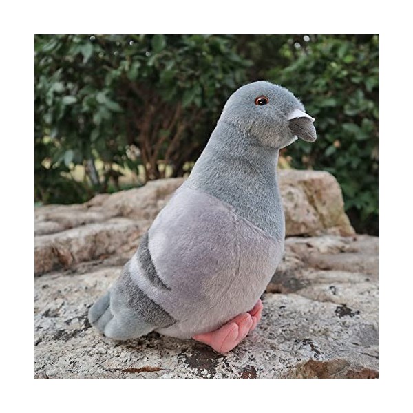LEUYA Boucles doreilles 19 cm réaliste Gris Pigeon Peluche Jouet Roche réaliste Pigeon Pigeon Oiseau en Peluche Animal Jouet