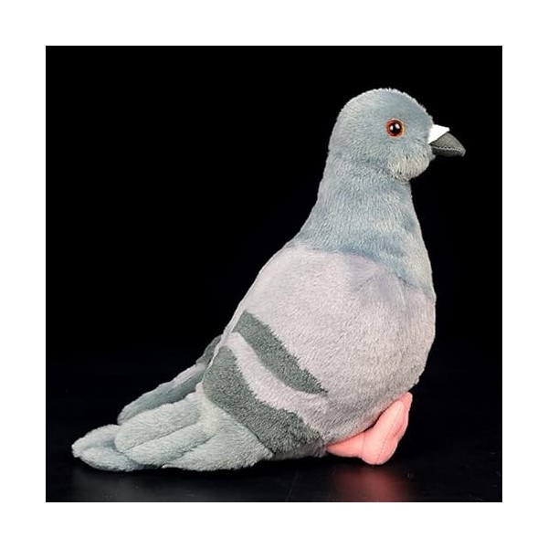 LEUYA Boucles doreilles 19 cm réaliste Gris Pigeon Peluche Jouet Roche réaliste Pigeon Pigeon Oiseau en Peluche Animal Jouet