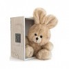 Histoire DOurs - Peluche Les PTits Compagnons-Lapin Beige 10 Cm