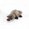 Plush & Company - 15760 - Peluche - Mally Ornithorynque - 50 cm