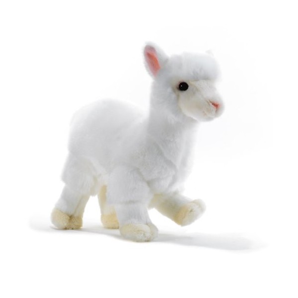 Plush&Company - 15728 - Peluche - Lino Lama Bébé - 30 cm