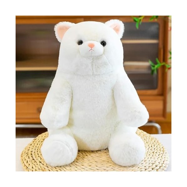 PaMut Mignon Jouet en Peluche Kawaii Dessin animé Chat Peluche Animal Oreiller Peluche Fille Cadeau d’Anniversaire 40cm 1