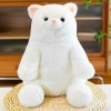 PaMut Mignon Jouet en Peluche Kawaii Dessin animé Chat Peluche Animal Oreiller Peluche Fille Cadeau d’Anniversaire 40cm 1