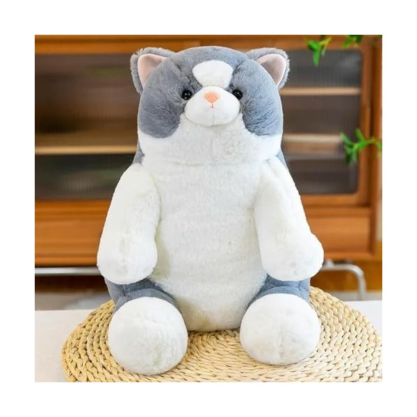 PaMut Mignon Jouet en Peluche Kawaii Dessin animé Chat Peluche Animal Oreiller Peluche Fille Cadeau d’Anniversaire 40cm 1