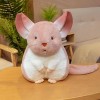 EacTEL Coussin Hamster Kawaii, poupée en Peluche Mignonne, Jouet en Peluche, Animal en Peluche, Jouet pour Enfants, Cadeau de