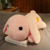 Kawaii Longue Oreille Lapin Peluche Poupée Oreiller Enfants Fille Cadeau D’Anniversaire Home Decor Peluche Jouet 45cm 3